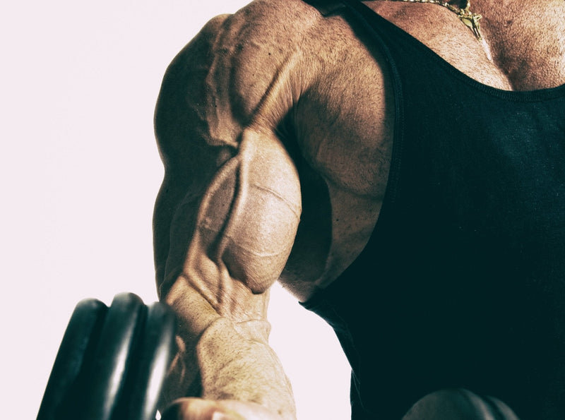 HOME Workouts:  BICEPS TRAINING - insidefitnessmag.com