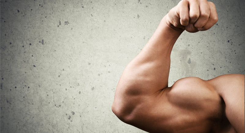 The Ultimate Testosterone Boosting Workout - insidefitnessmag.com